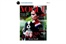 Vogue Cover für Victoria Beckham